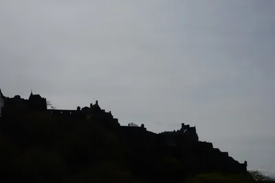 DSC_7392 (Large).JPG